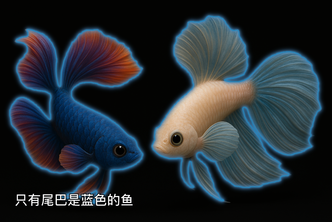 Refined Fish